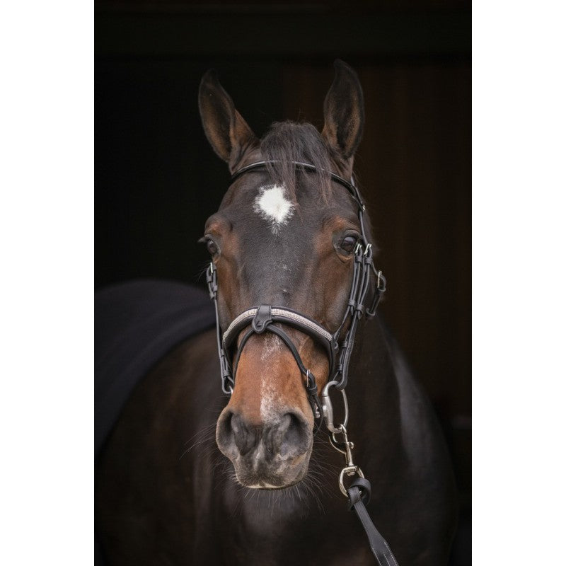 Penelope Bridle with Rhinestone noseband