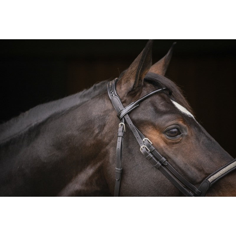 Bridle with sparkly noseband