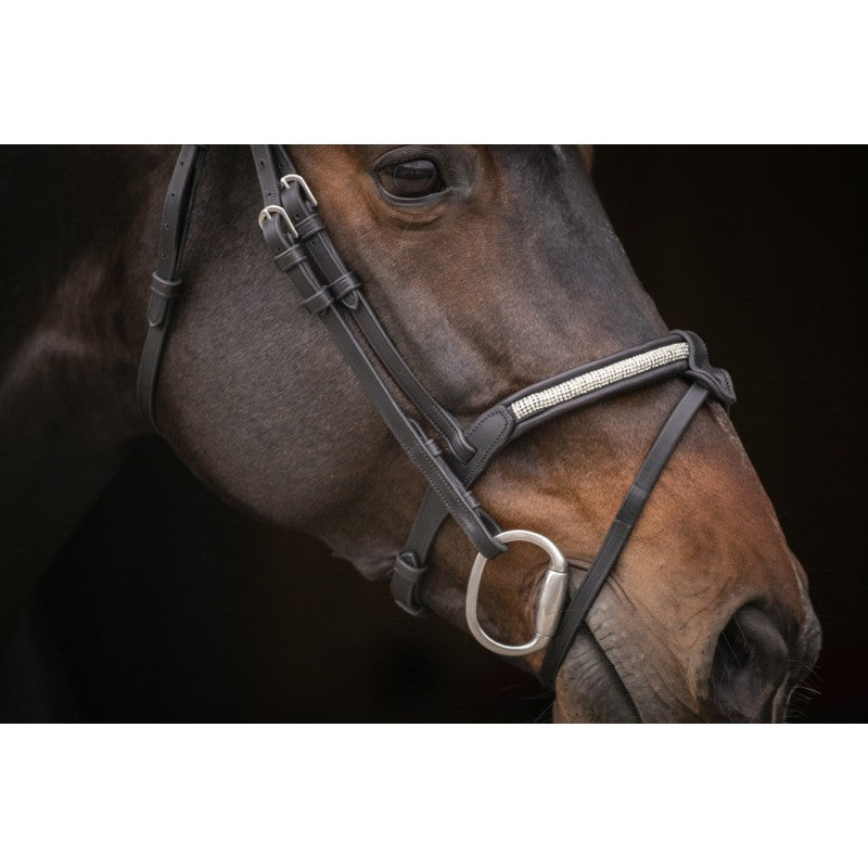 horse Bridle with crystals