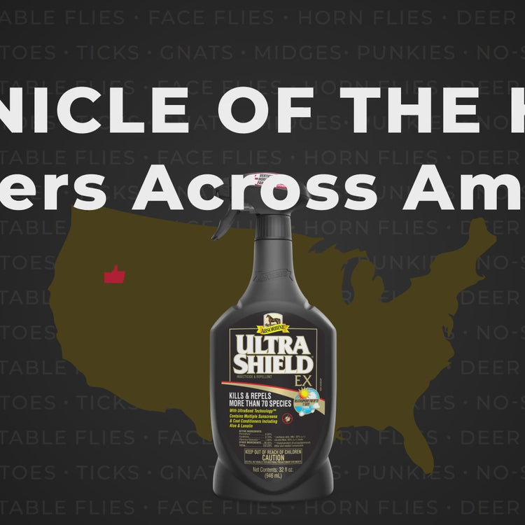 UltraShield Black Insecticide & Repellent