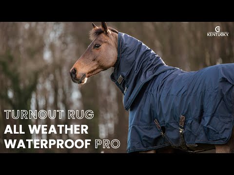 Kentucky Horsewear Turnout Rugs