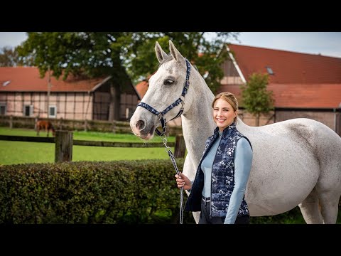 Equestrian quilted jacket