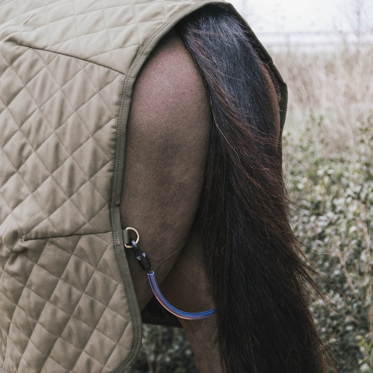 Transport horse rug