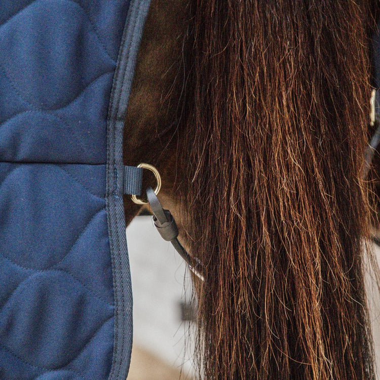 Horse stable blanket extra warm