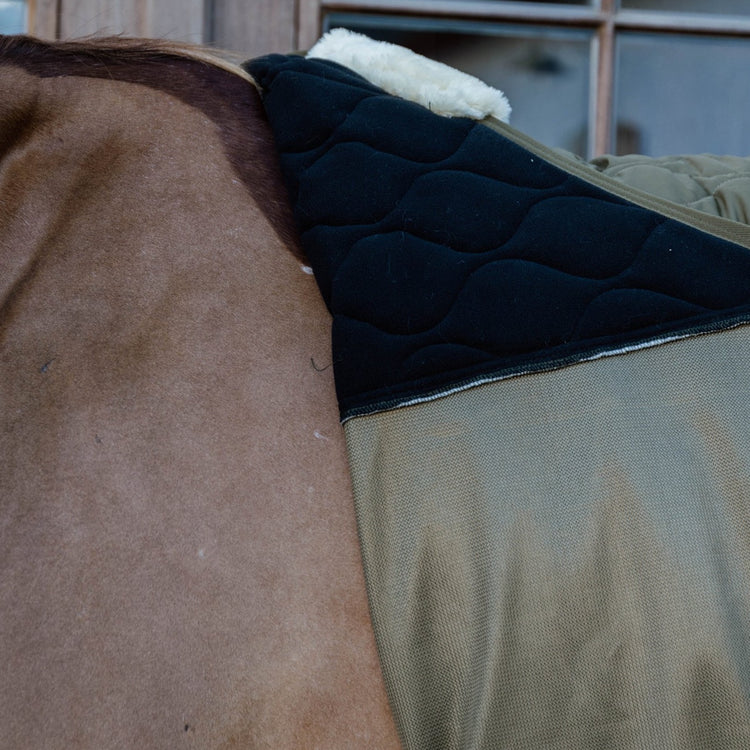 Lined transport horse rug