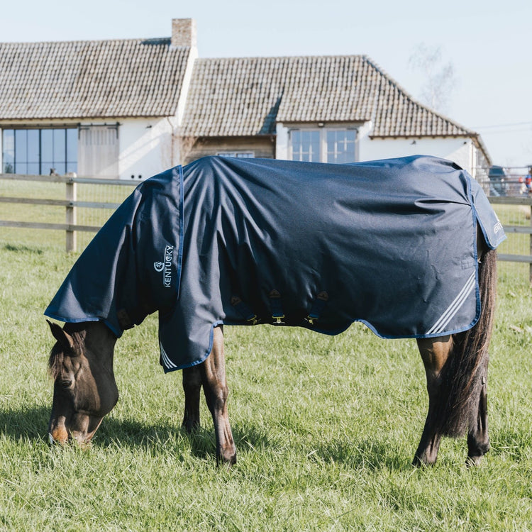 Kentucky Horse Neck Cover