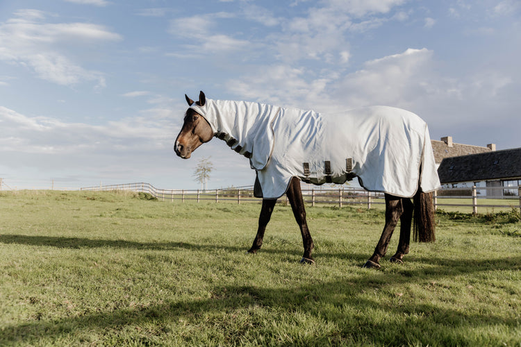 Best Eczema rug for horses