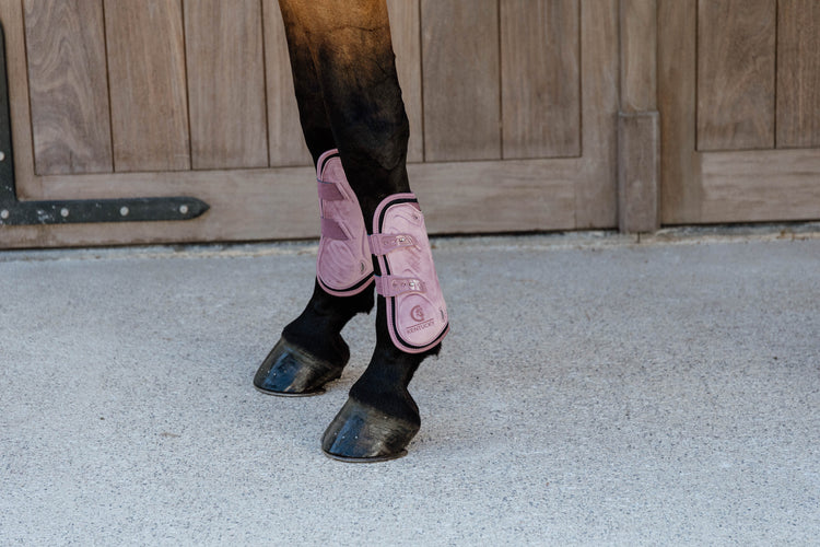 Pink tendon boots for horses