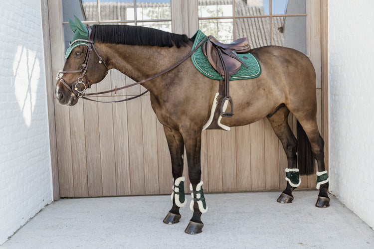 Dark Green matching set for horses