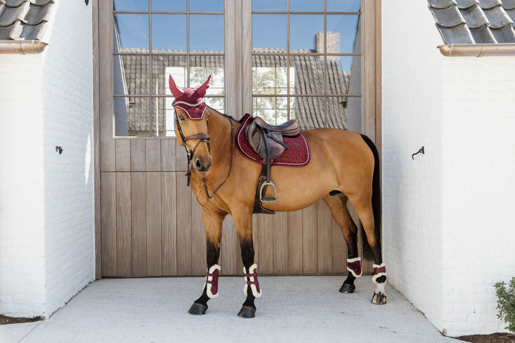 Bordeaux matching set for horses