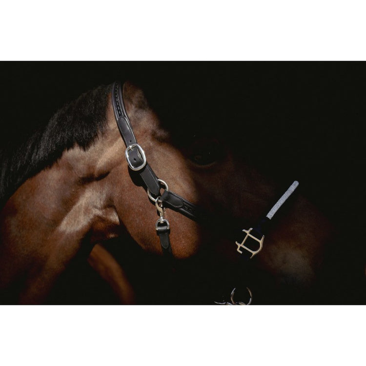 Rhinestone equestrian halter with refined leather details for an elegant horse look.