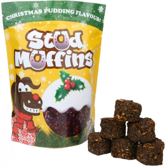 Christmas treats for horses