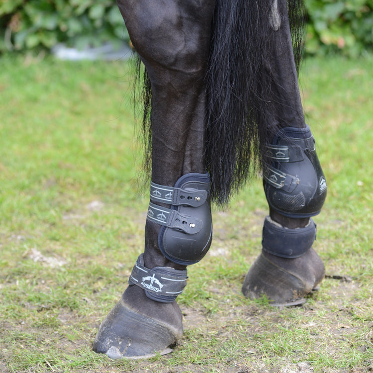 Anatomical fetlock boots with elastic straps