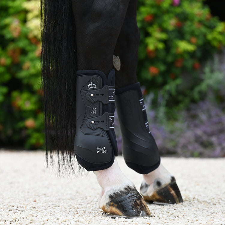 Professional rear dressage boots for horses