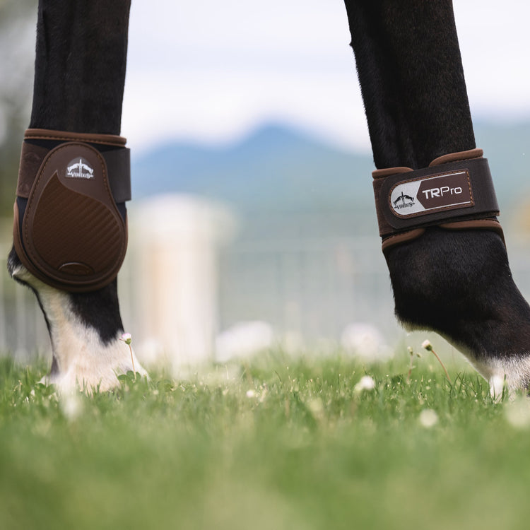 Veredus TRpro fetlock boots brown