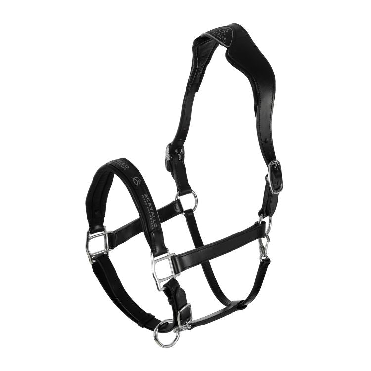 Anatomic Leather halter