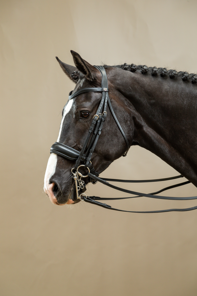 Dressage double bridle