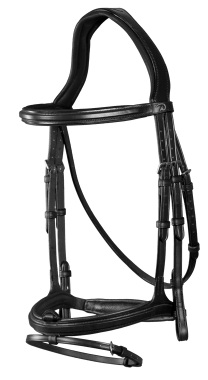 Flash Noseband Bridle