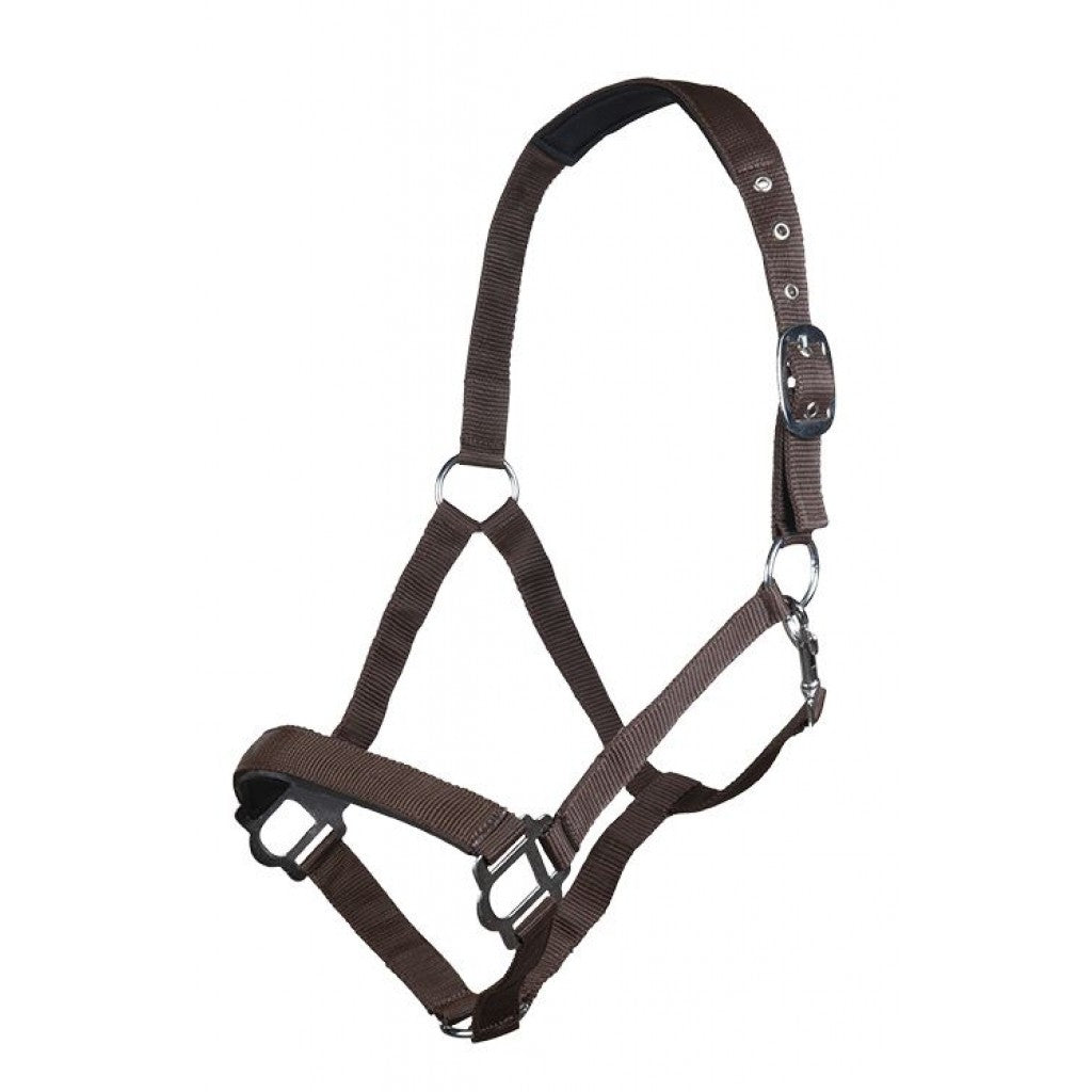 Dark brown Head Collar Sydney Style with Soft Padding