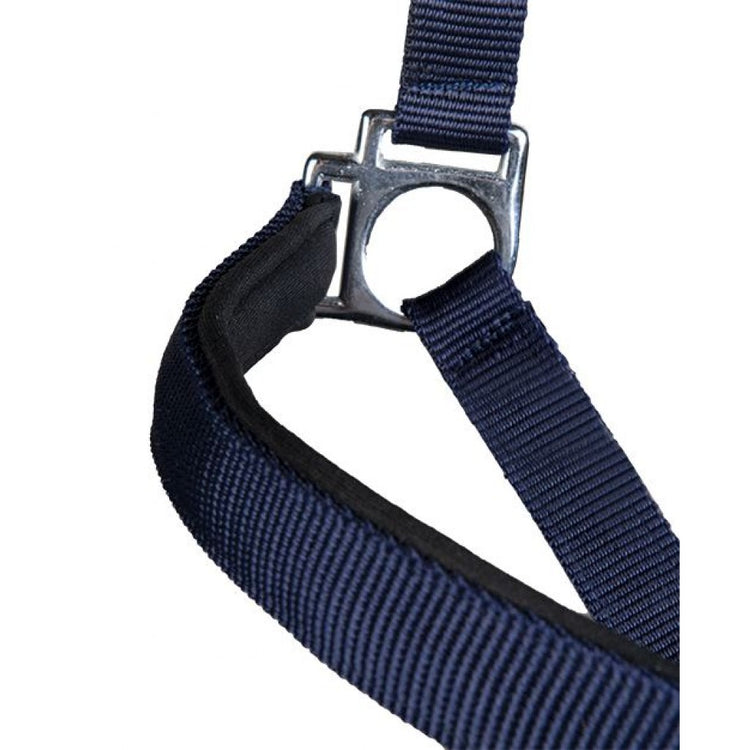 Head Collar Sydney Style with Soft Padding