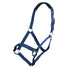 Blue simple head collar