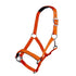 Neon orange head collar