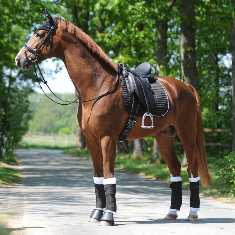 black saddle pad with rhinestones