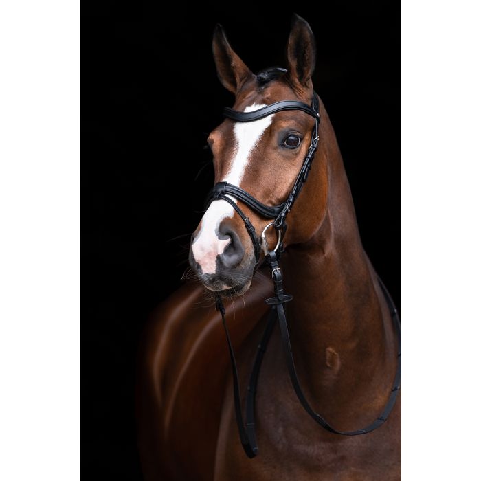 Anatomic Bridle without throatlatch