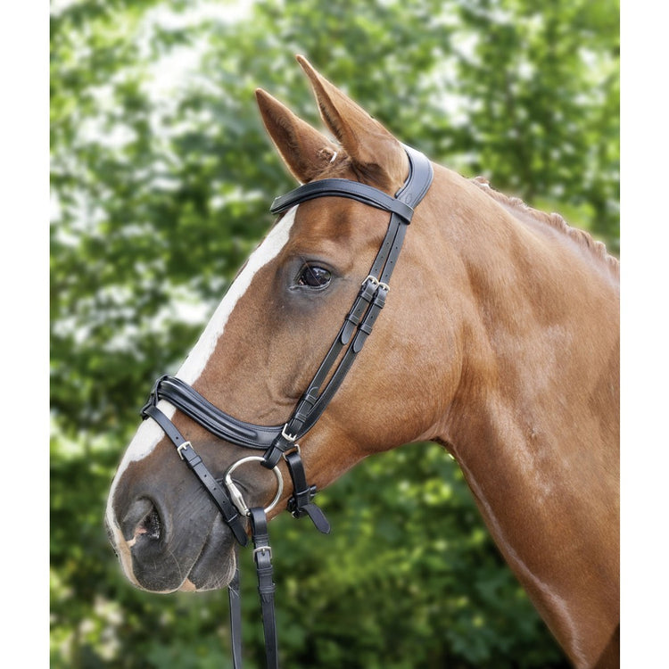 Anatomic Bridle