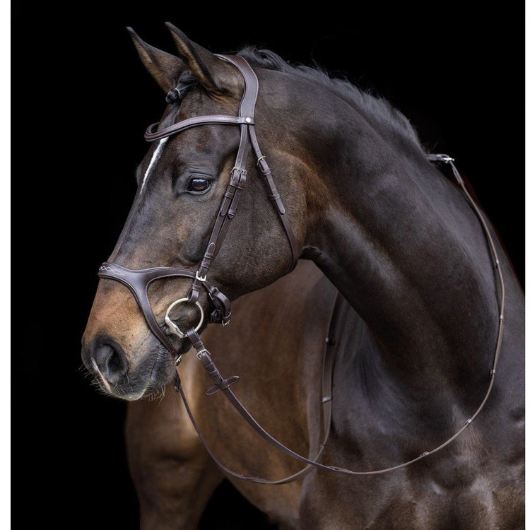 HKM Anatomic Bridle