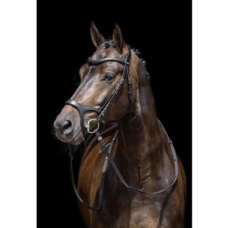 Bridle with anatomic headpiece