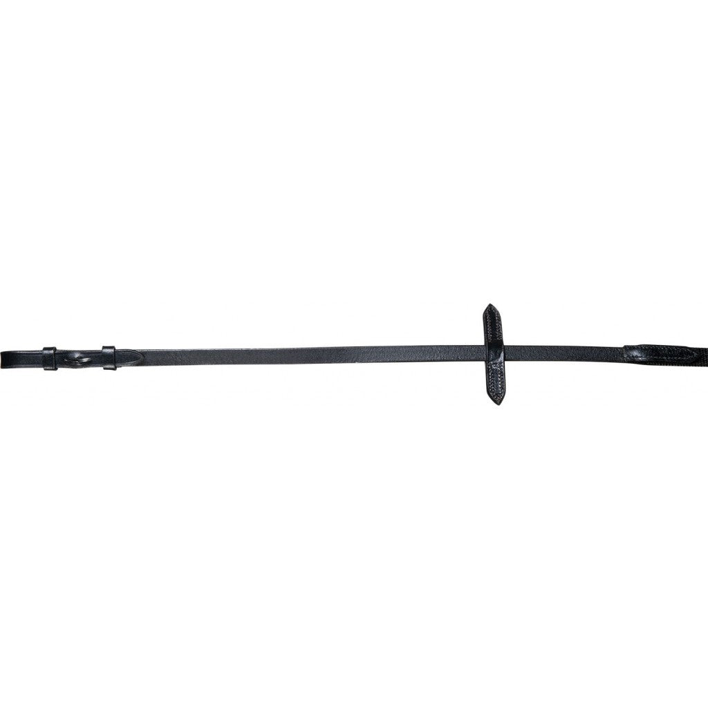 bridle with reins