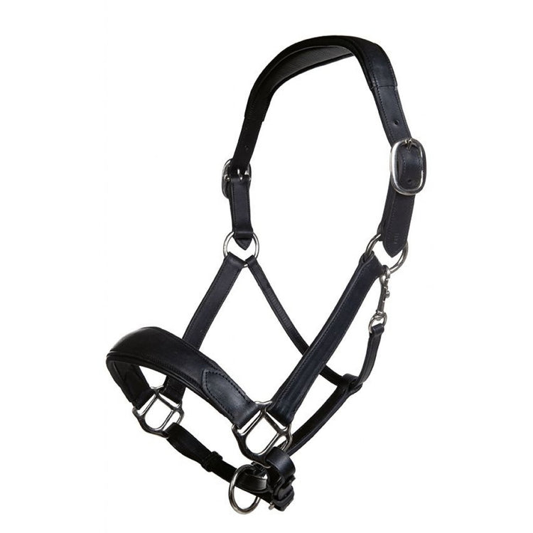 Black Leather Head Collar