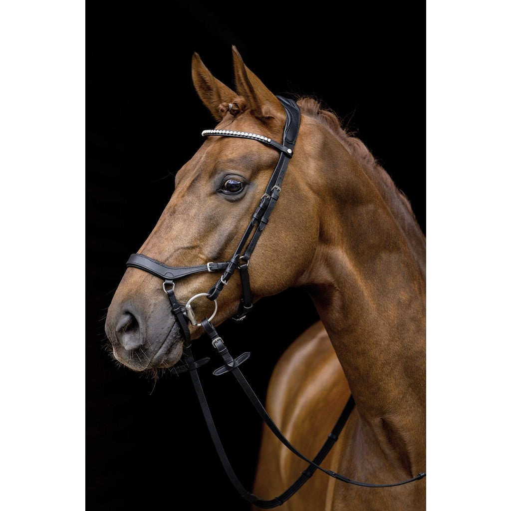 Anatomic bridle HKM