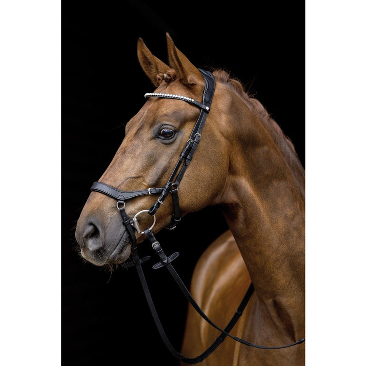 Anatomic bridle HKM