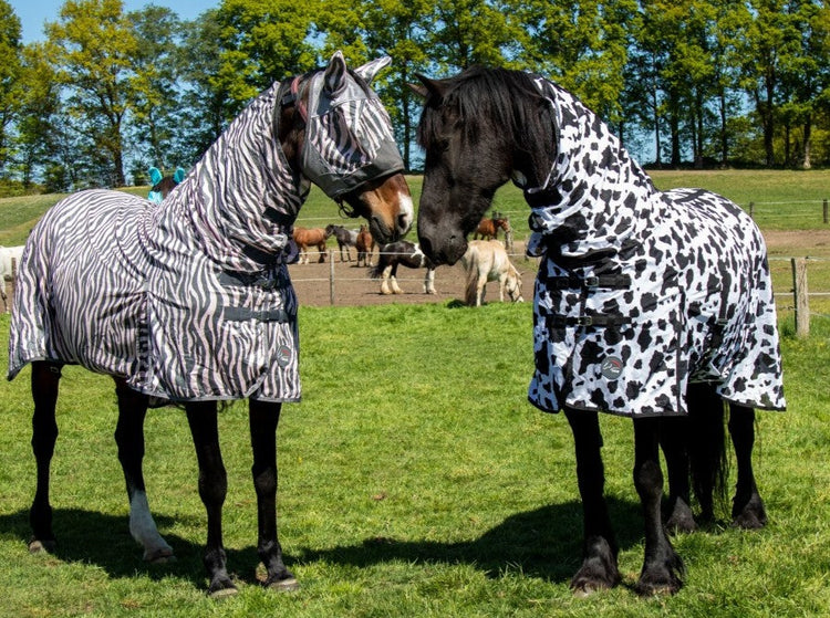 Turnout fly sheet with neck