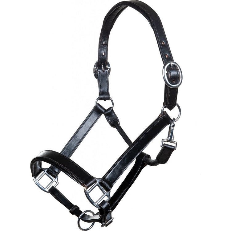 HKM Black Leather Halter