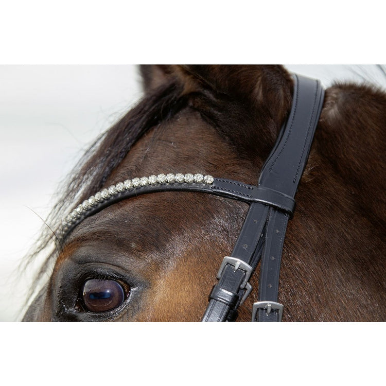 Bridle with padded neckpiece