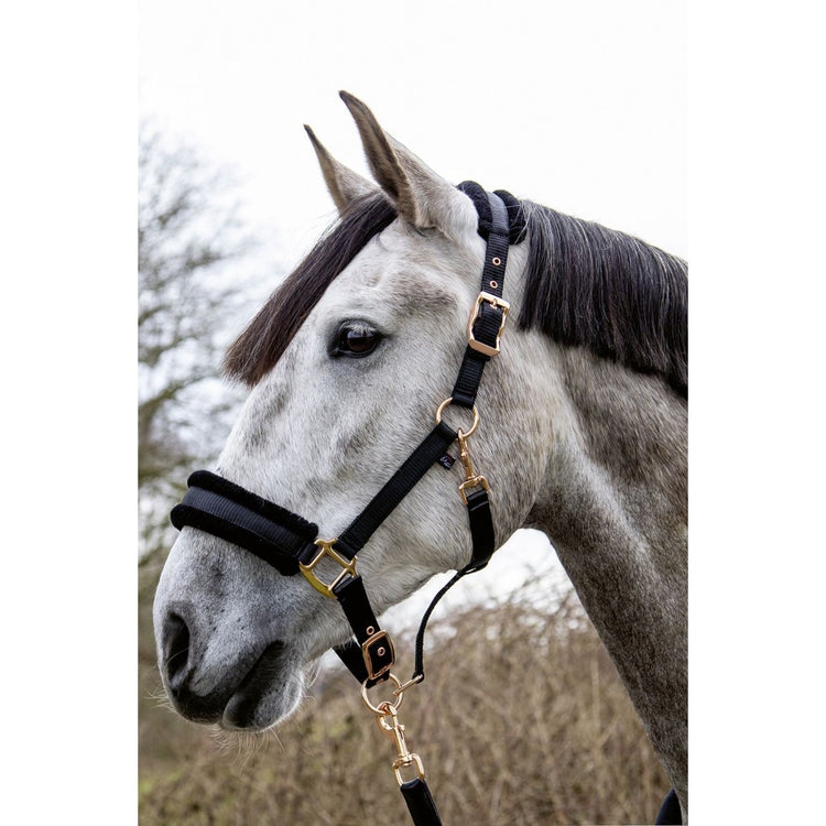 Rose gold headcollar