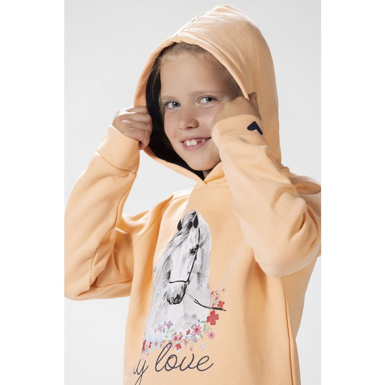 HKM Spirit