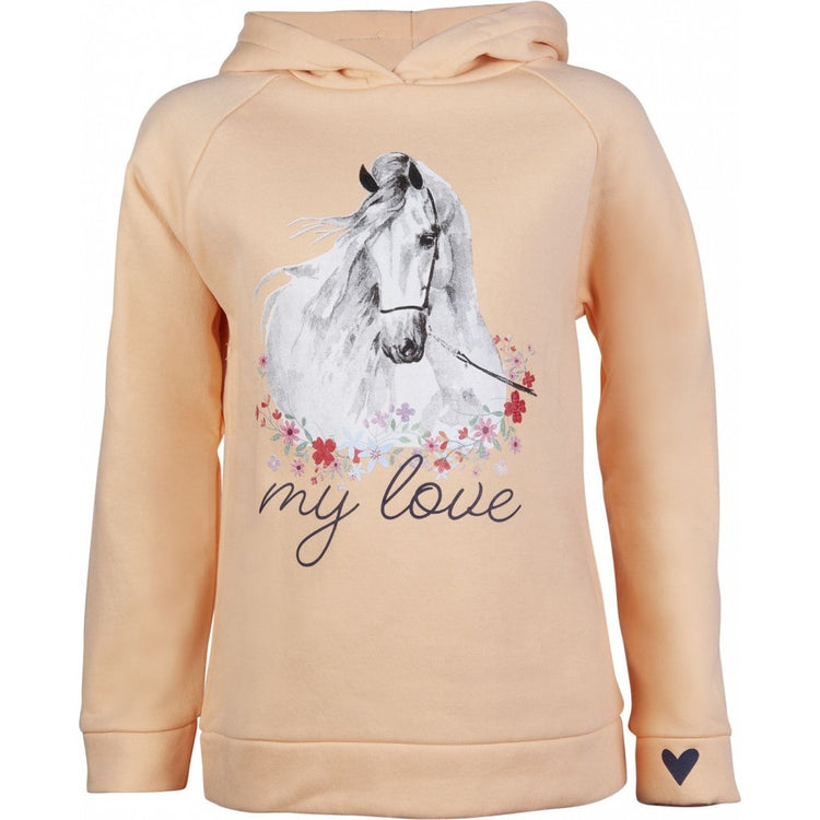 HKM Horse spirit collection