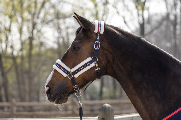 HKM Head Collar Deep Blue