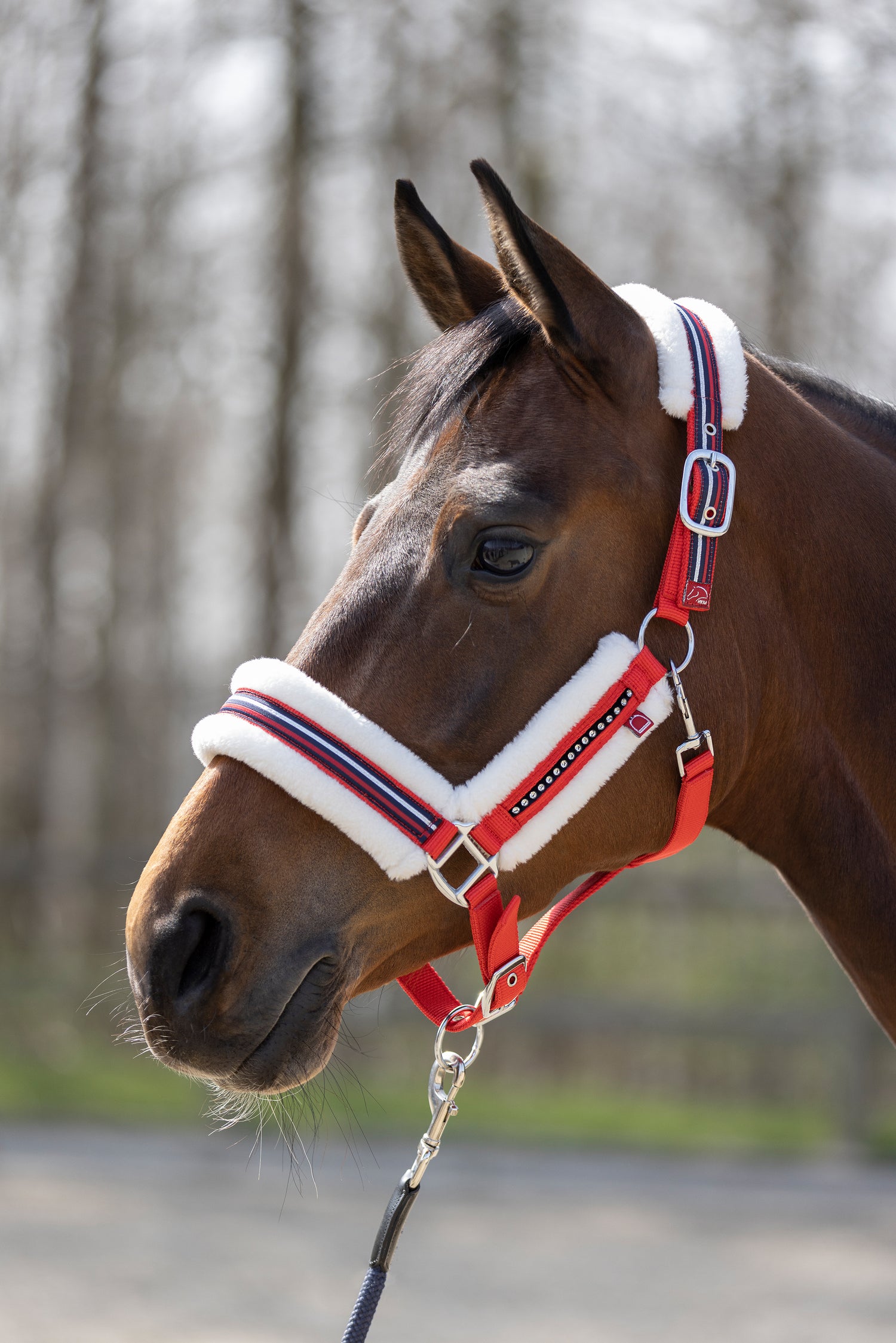 Head Collar Red