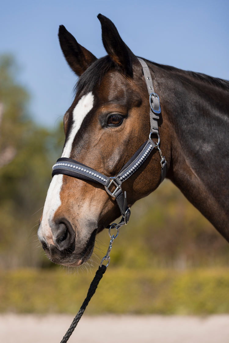 HKM Head Collar Deep Grey