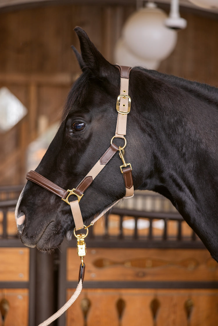 HKM Marrakesh Head Collar