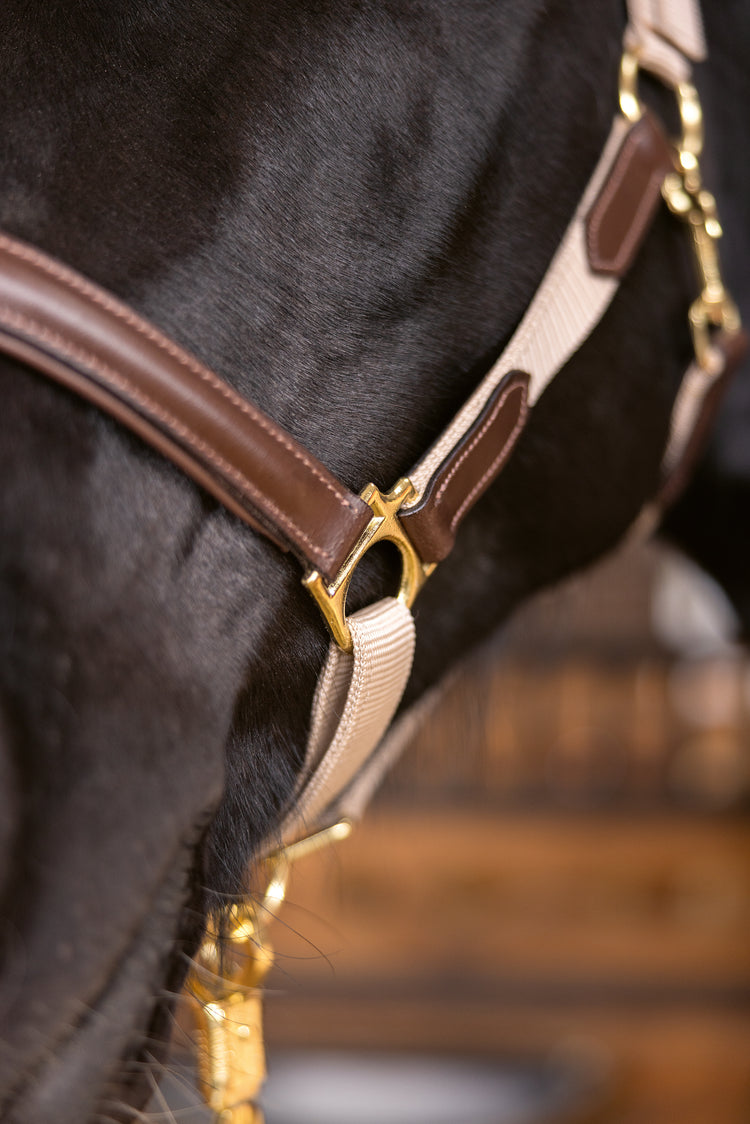 Head Collar Marrakesh