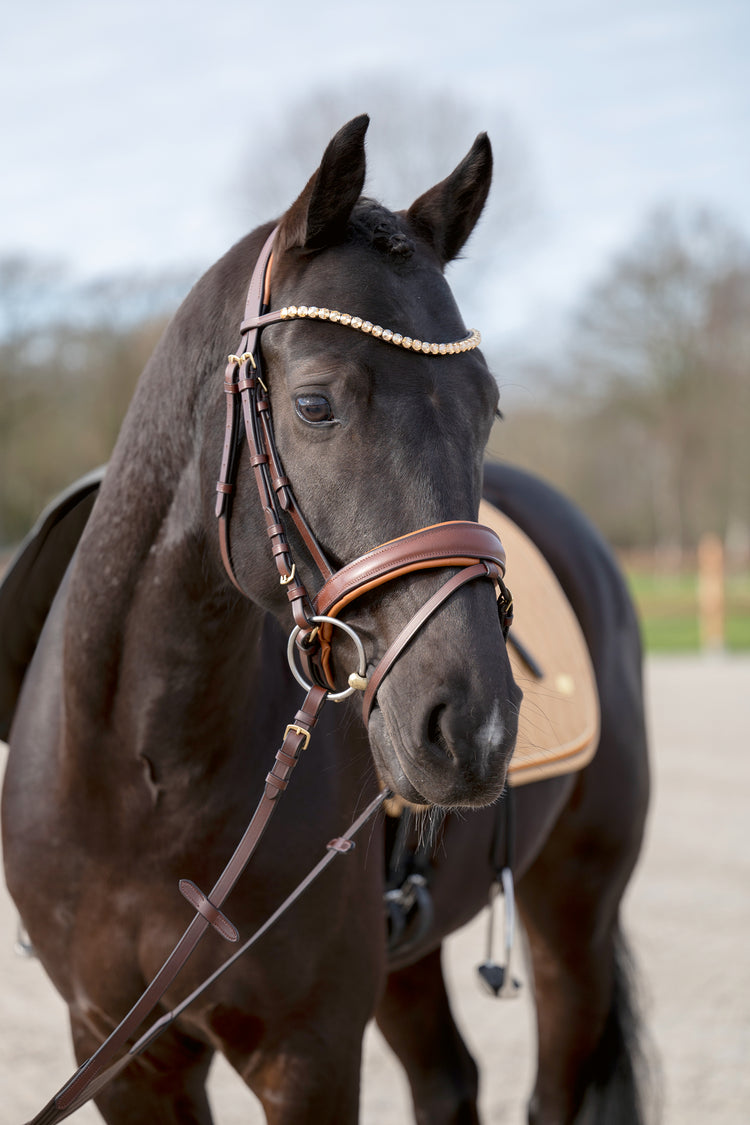 HKM Briddle Dark Brown