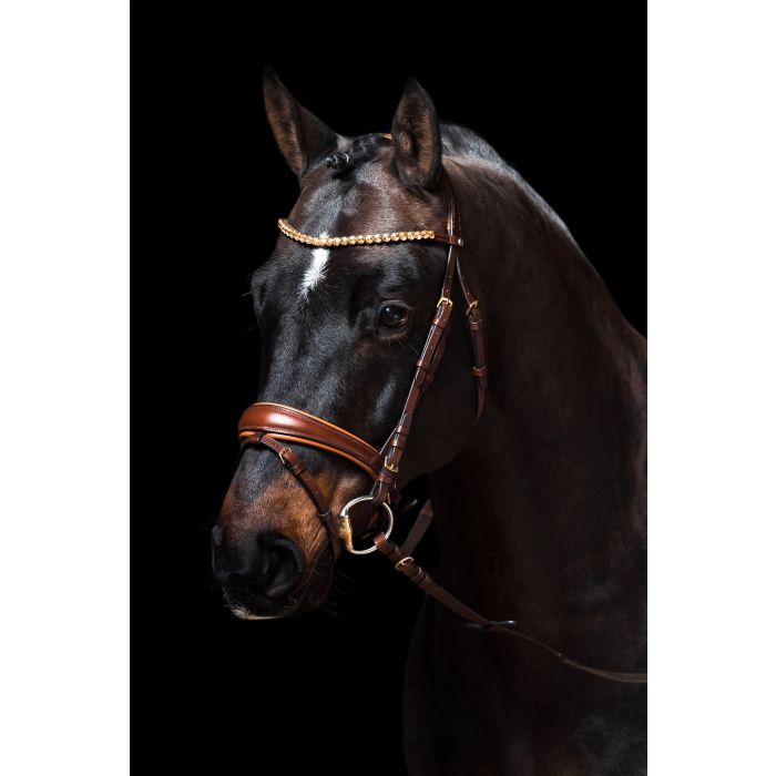 Brown Dressage Bridle