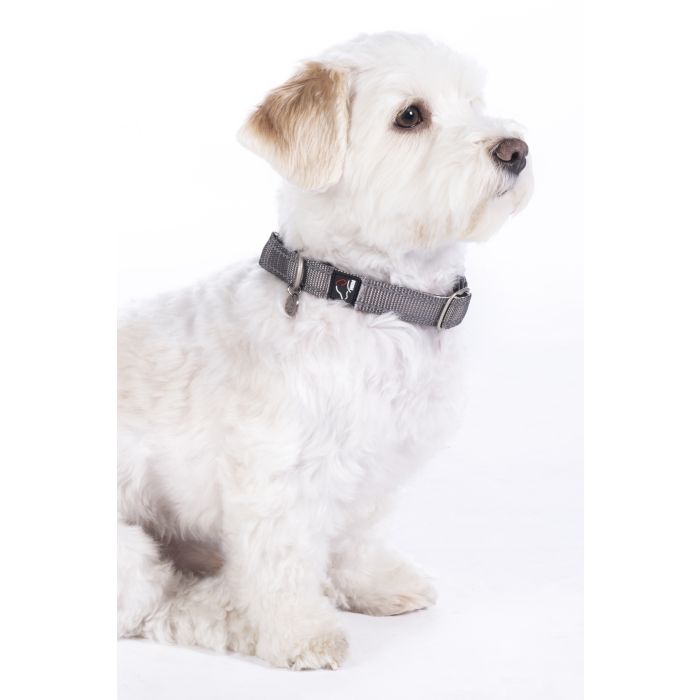 Dog collar