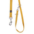 Golden yellow leash